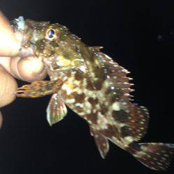 久しぶりに朝まで行って来ました！！