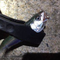 爆風ライトゲーム