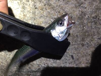 爆風ライトゲーム