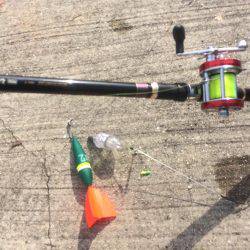 赤い君は海老が大好物でした！