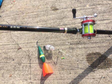 赤い君は海老が大好物でした！