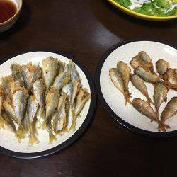 ファミリーフィッシング