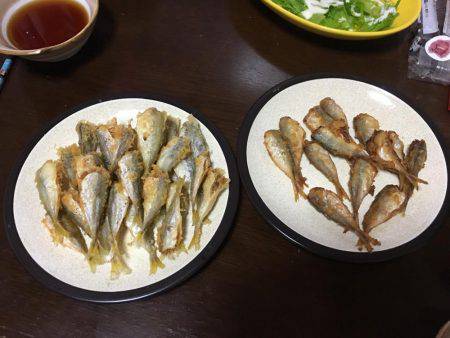 ファミリーフィッシング