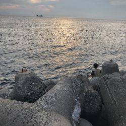 泉南ランガン❗️夏イカのはしり