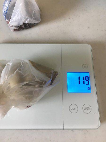 昼休30分タコ釣り!!