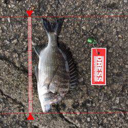 40オーバー中々こなーーい