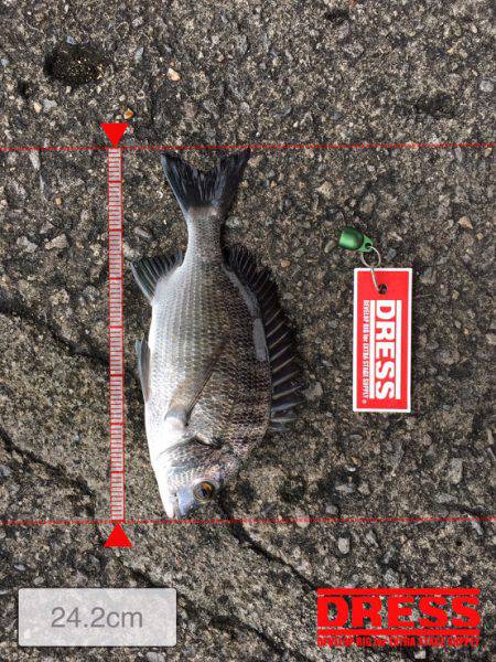 40オーバー中々こなーーい