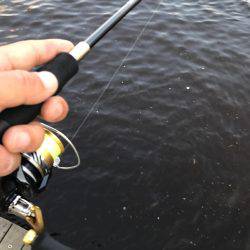 サビキリベンジ！