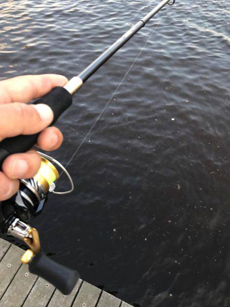 サビキリベンジ！