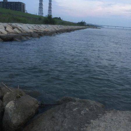 好調淀川チニング釣行！