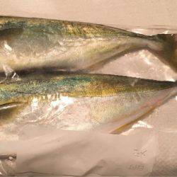 夕まずめにもツバス反応あり+α