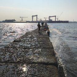 ライトゲームでカサゴ入れ食い！