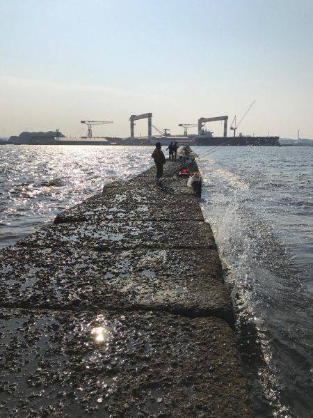 ライトゲームでカサゴ入れ食い！