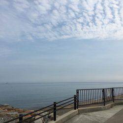 またまた、アジ狙い