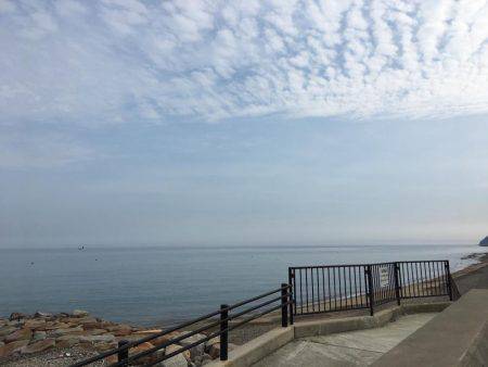 またまた、アジ狙い