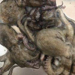 相変わらず厳しい