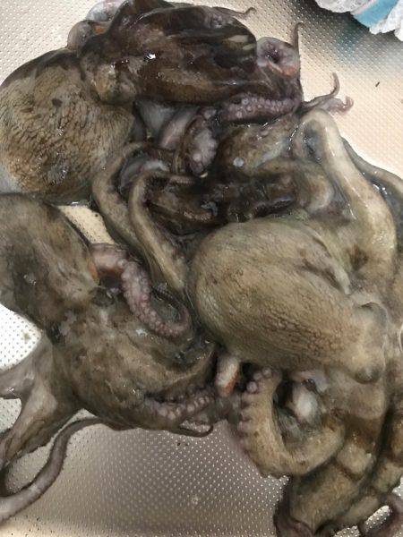 相変わらず厳しい