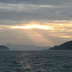 ショアジギ不発