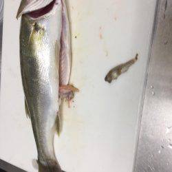 学校終わってからランガン