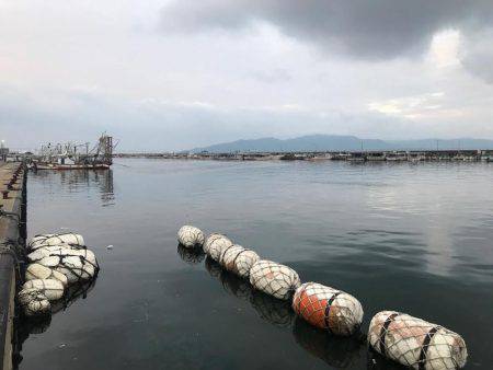 タコ  釣り船きもと  中潮
