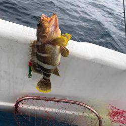 マイボートで昼間のイカメタルゲーム