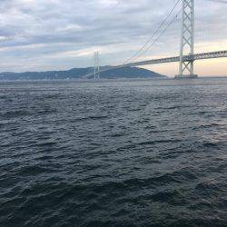 なんとかサバを！