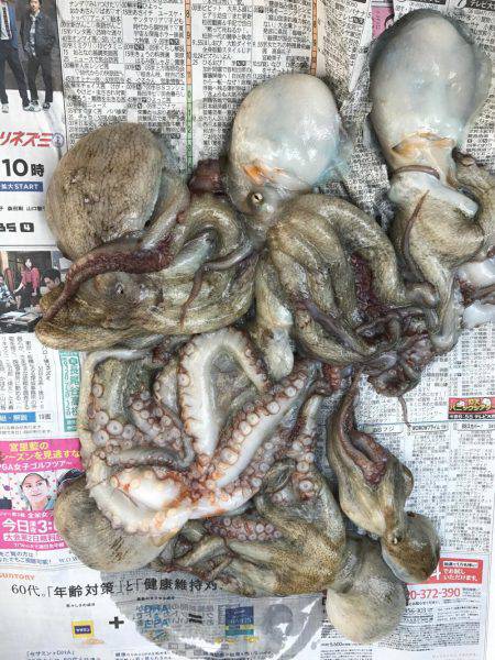 やっとホームで