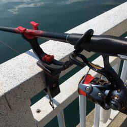 久しぶりのチヌ