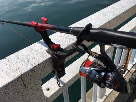 久しぶりのチヌ