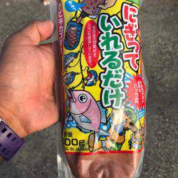 四日市港inサビキ