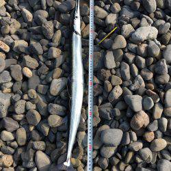 大里松原海岸 メタルジグでタコ2匹！？