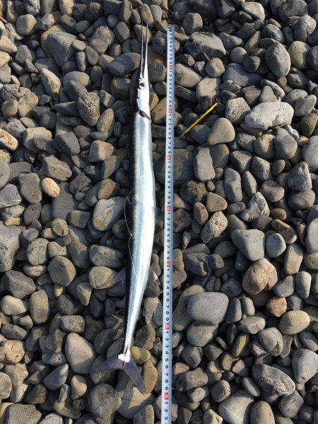 大里松原海岸 メタルジグでタコ2匹！？