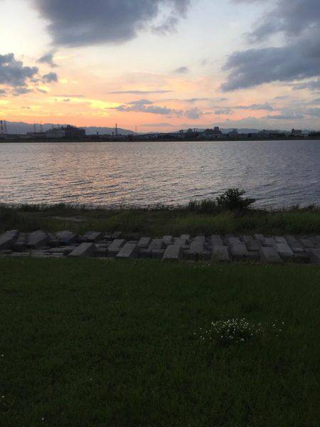 出た！淀川チヌ年なし！