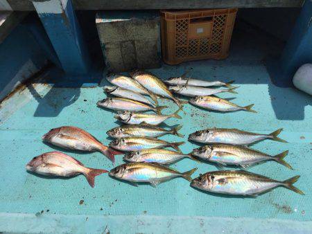 鯛ラバチャレンジ！＆ギガアジ！