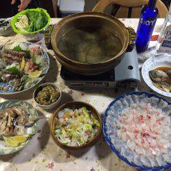 アジングで真鯛