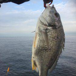 シーバスのはずが(T . T)