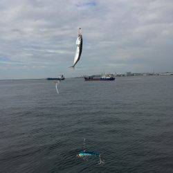 ポートアイランドでツーバスとシーバス!