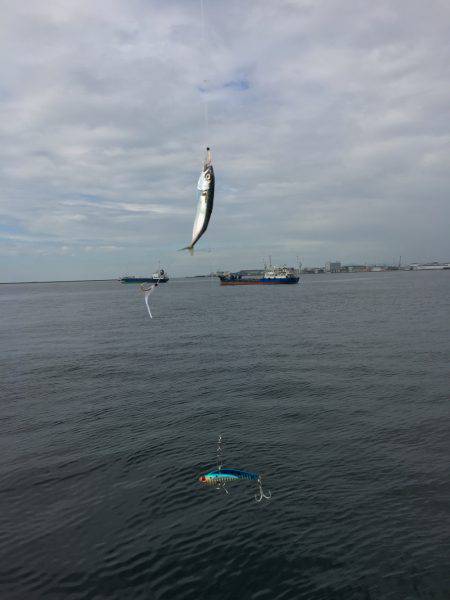 ポートアイランドでツーバスとシーバス!