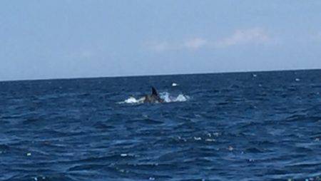 マイボートでタイラバ、ジギング