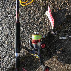 タコちゅ〜快調！