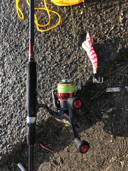 タコちゅ〜快調！