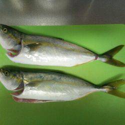 バラシまくり(´・д・`)