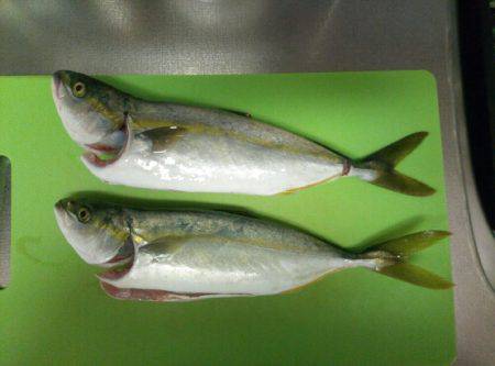 バラシまくり(´・д・`)