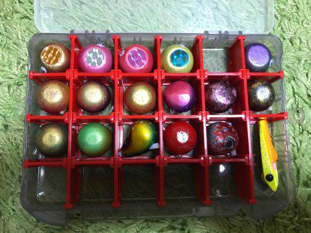 念願の明石鯛!!