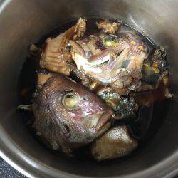 初 落とし込み釣り