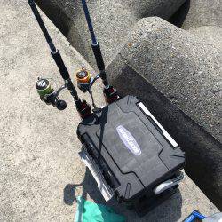 ツバス、少しずつサイズアップ^_^;