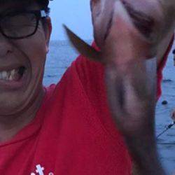 マアジ、ガシラ、アコウ