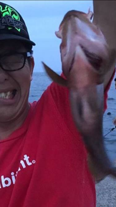 マアジ、ガシラ、アコウ