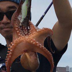 ジグサビキ&タコゲーム