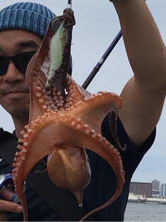 ジグサビキ&タコゲーム